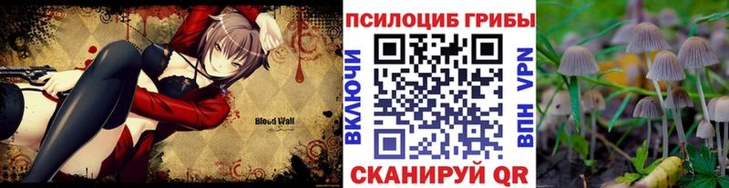 Псилоцибиновые грибы MAGIC MUSHROOMS  закладки  Александровск-Сахалинский 