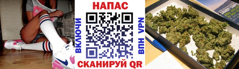 Марихуана AK-47  KRAKEN вход  Александровск-Сахалинский  как найти  